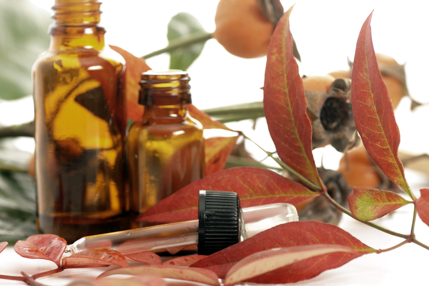 Naturopathic Care Novi, MI