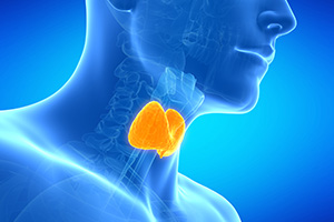 Lab Testing Benefits & Services | Diverse Health Services, PLLC - thyroid